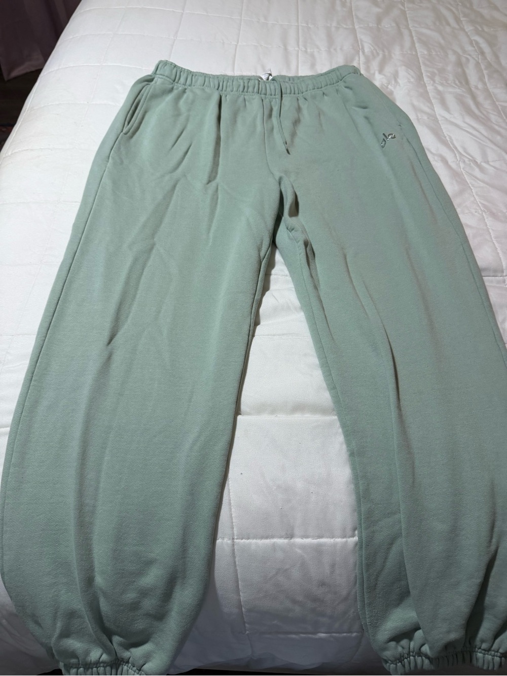 Alo Accolade pull-on sweatpants color Sage